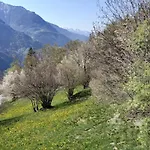 L Ame Et Son Du Coeur