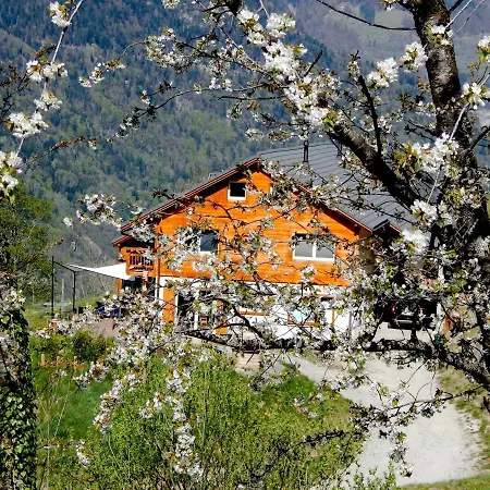 L Ame Et Son Du Coeur *