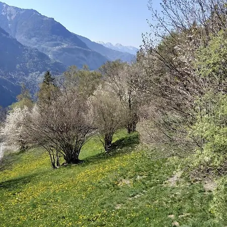 L Ame Et Son Du Coeur