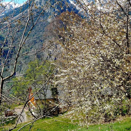 L Ame Et Son Du Coeur