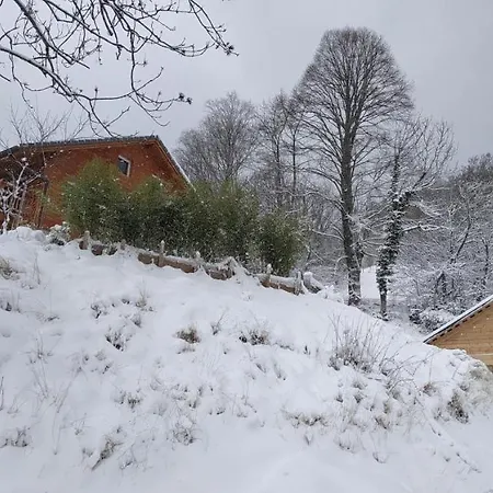 L Ame Et Son Du Coeur *