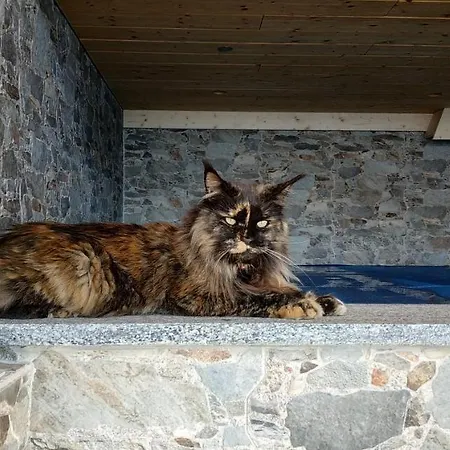 L Ame Et Son Du Coeur Сasa de vacaciones *