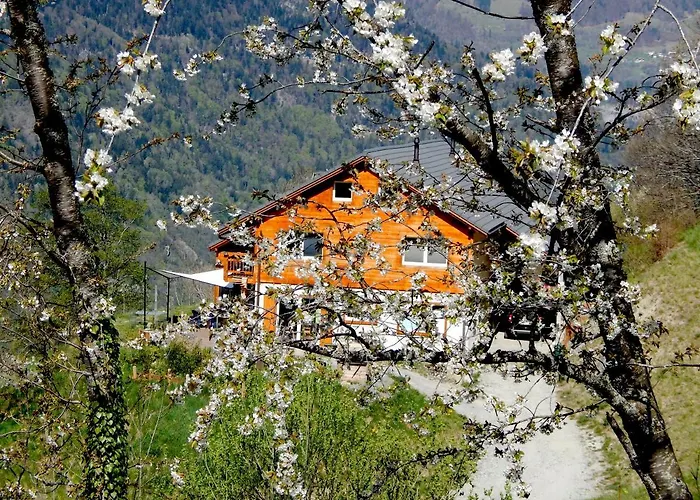 L Ame Et Son Du Coeur *