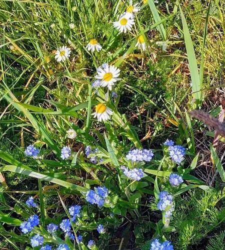 Hébergement de vacances L Ame Et Son Du Coeur *