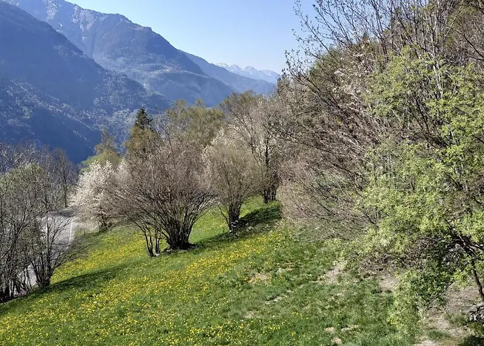 L Ame Et Son Du Coeur