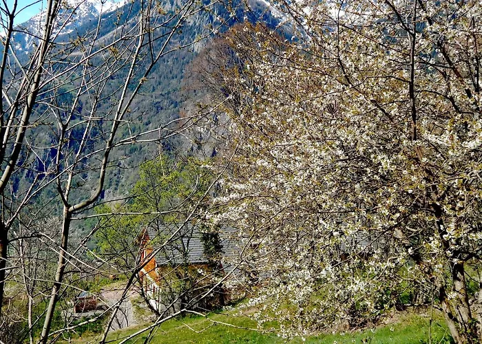 L Ame Et Son Du Coeur