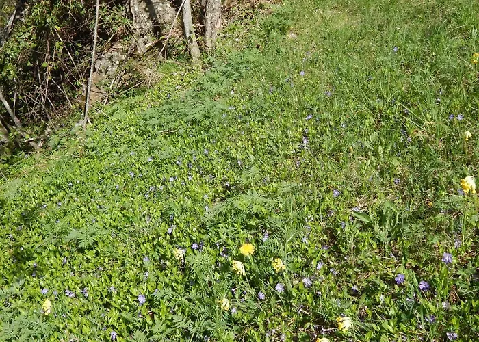 Hébergement de vacances L Ame Et Son Du Coeur Dorenaz