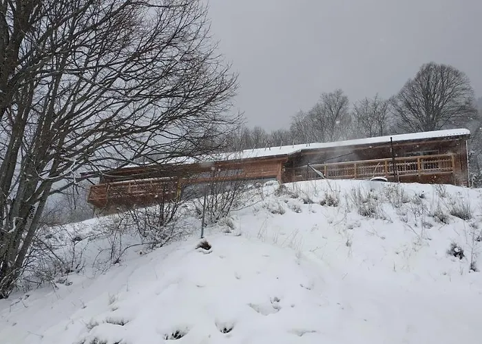 L Ame Et Son Du Coeur *