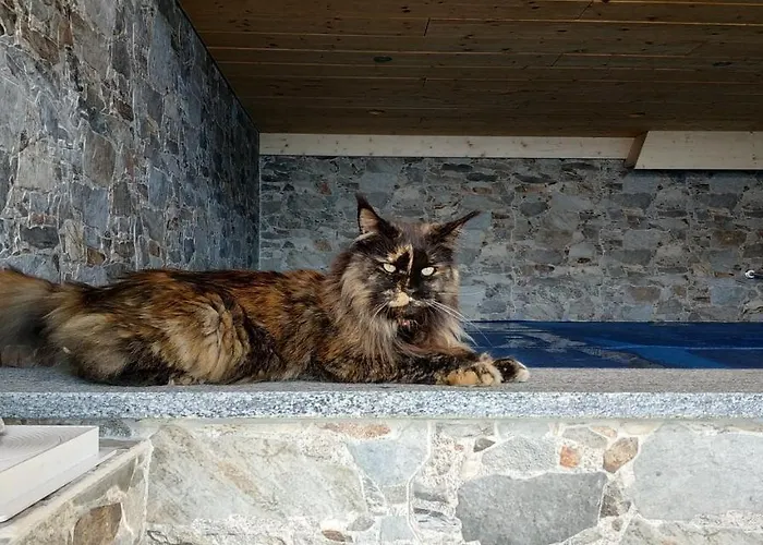 L Ame Et Son Du Coeur Holiday home *