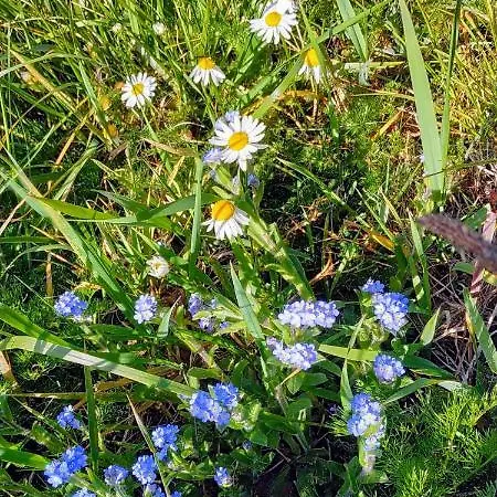 Σπίτι διακοπών L Ame Et Son Du Coeur *